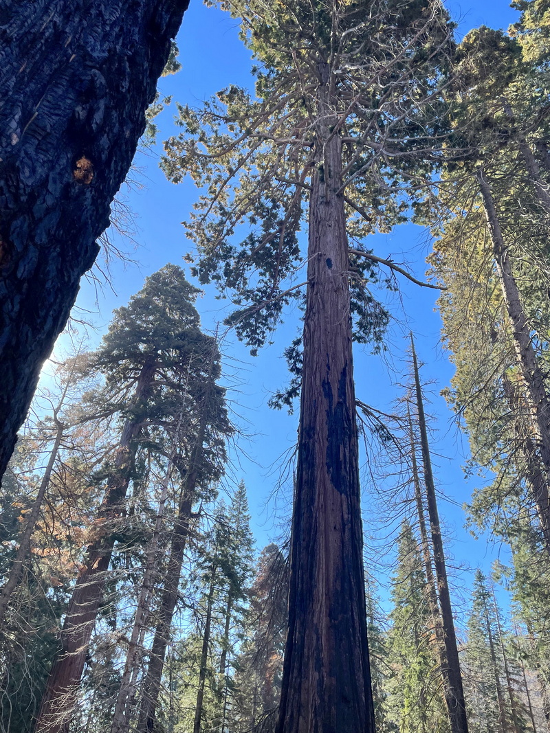 Photo Craig Swolgaard IMG_0110