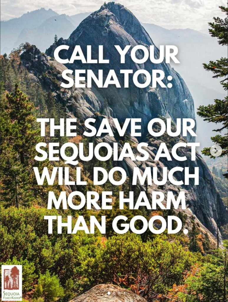 Call to Action on the Save Our Sequoias Act_1